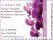 Lic. Andrea Mele Psicoterapia - Psicodiagnósticos
